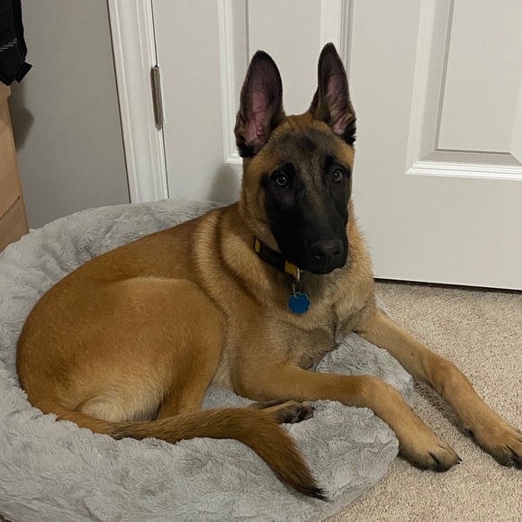 Meet your Posher, Nic - Picture 1 of 1